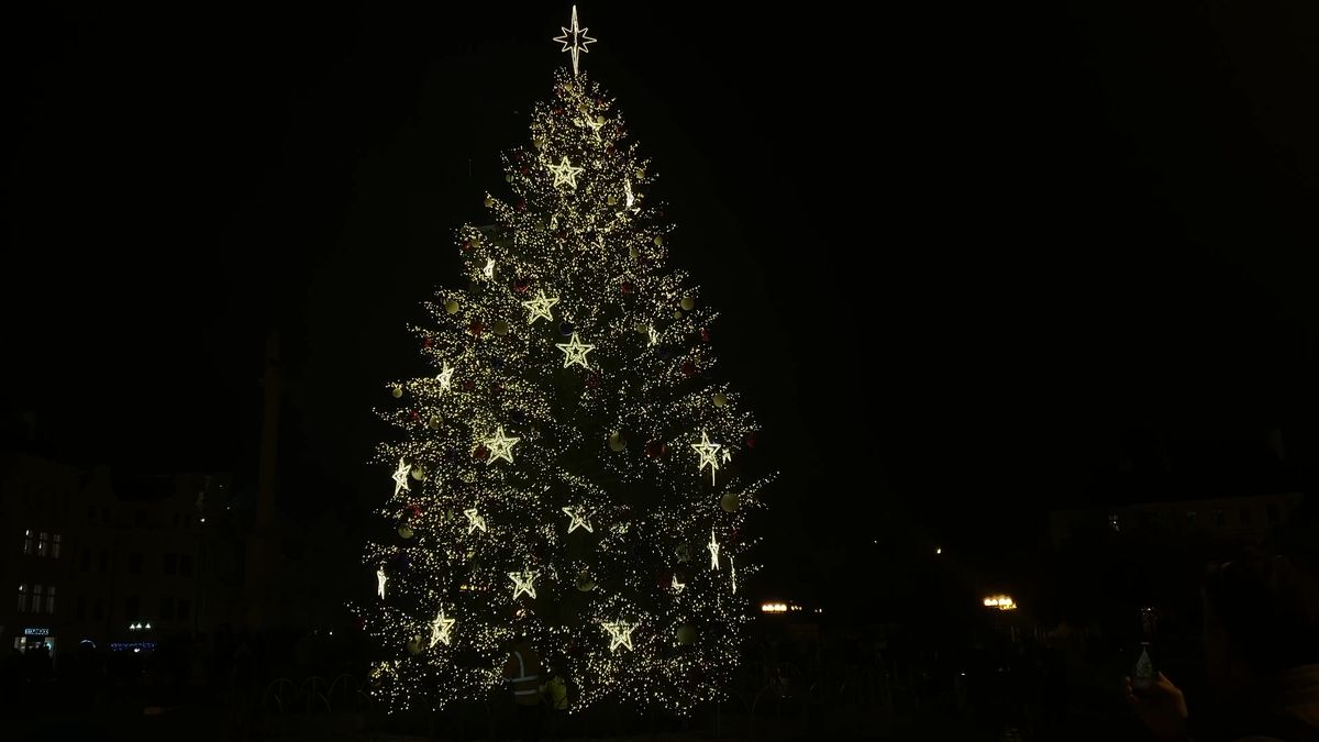 Praha rozsvítila vánoční strom